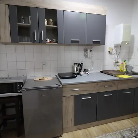 Apartman Mijatovic Donji Milanovac Exterior photo