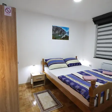 Apartman Mijatovic Donji Milanovac Exterior photo
