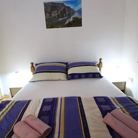 Apartman Mijatovic Donji Milanovac Exterior photo