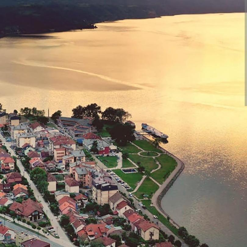 Mijatovic *